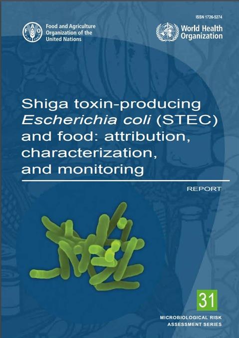Shiga toxin-producing Escherichia coli (STEC) and food: attribution, characterization, and monitoring: report