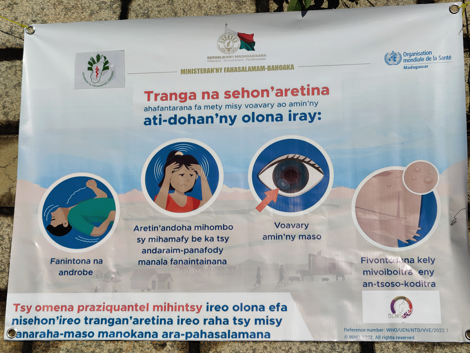 A poster highlighting the one health approach to Integrate interventions to control of schistosomiasis and Taenia solium