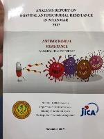 WAAW activity photos 2019 (11)