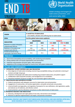 The End TB Strategy: information sheet
