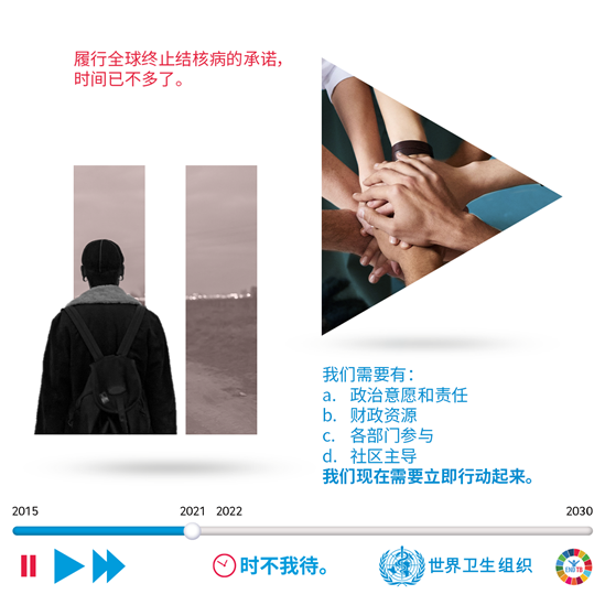 履行全球终止结核病的承诺
