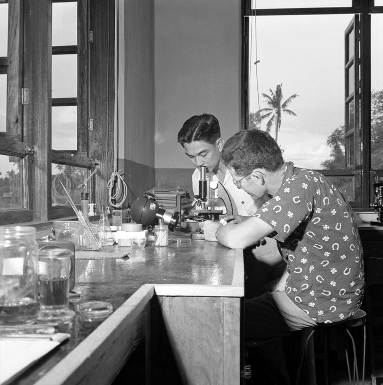 Two doctors inspect parasites in a laboratory. They both work under the WHO Schistosomiasis Control Pilot Project in Palo, Leyte in the 1950s.