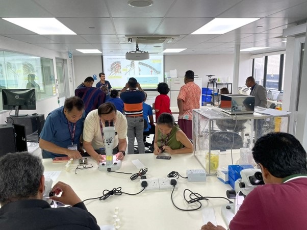 Hands-on training during the workshop in May
